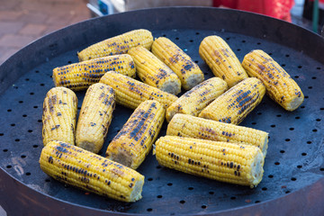 The cobs cooked barbecued on the street