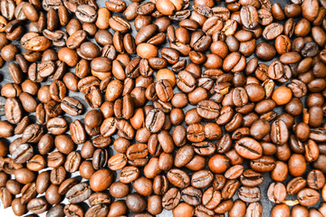 Coffee Beans Texture Background Pattern