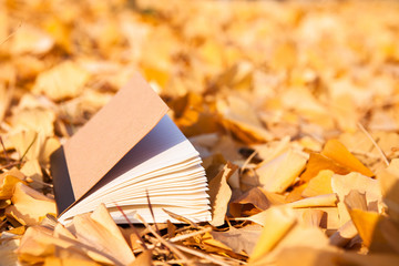 Note paper book on autumn leaves 