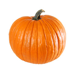 Big yellow pumpkin on a white background.