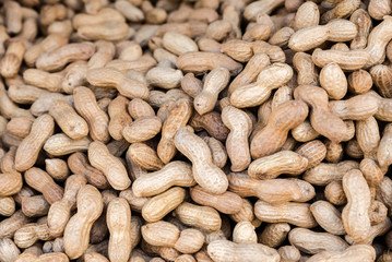 Pile of toasted peanuts