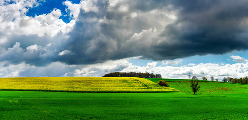 Beautiful rural landscape with vivid green field and white clouds on blue sky