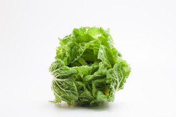 Cabbage concept isolated on white 