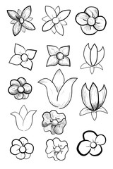 Fototapeta premium Various of Doodle Flowers