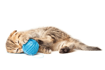 Tabby kitten with ball of yarn isolated on white background