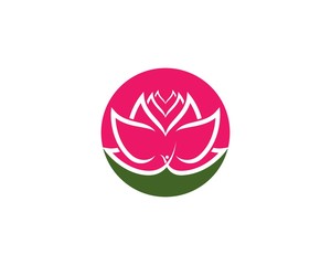 Beauty Lotus flowers Vector  design