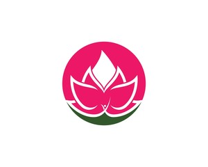 Beauty Lotus flowers Vector  design
