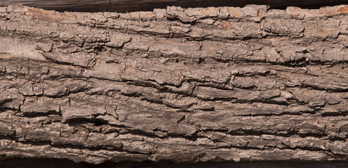 Canadian Wood Textures