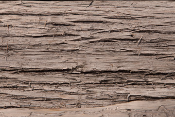 Canadian Rough Wood Textures