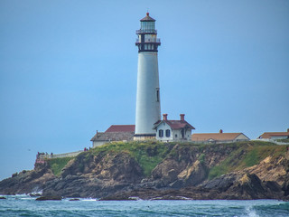 Fototapeta na wymiar Pigeon point Lighthouse