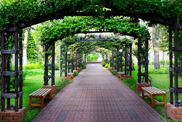 Beautiful floral archway in park
