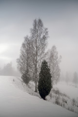 Winter mist