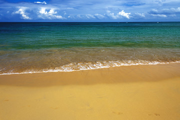 sea surf on the sandy beach, seascape