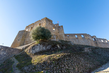 Fototapeta na wymiar Castelo de Tomar e Convento de Cristo, na cidade de Tomar, Portugal.