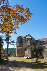 Obraz premium Castelo de Tomar e Convento de Cristo, na cidade de Tomar, Portugal.