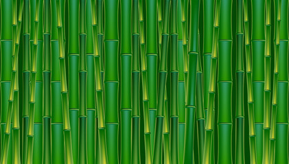 Panele Szklane  Bambus zielony tło.