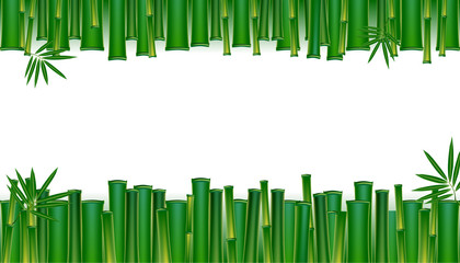 Green bamboo fram background