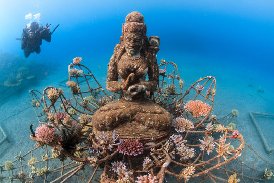 Artificial reef Coral Goddess in Pemuteran, Bali, Indonesia