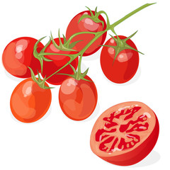 Tomato isolated on white background