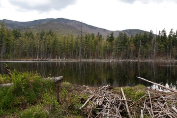 Reflecting Pool