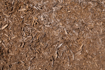 ground filled with small pieces of wood