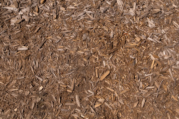 ground filled with small pieces of wood