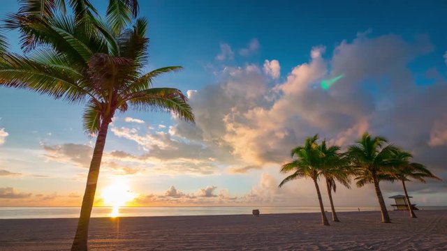 Beautiful Florida sunrise with palm trees and beach in foreground.  Timelapse.