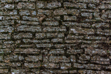 Random stone pavement for 3D texture