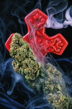 Detail of dried cannabis nugs (God bud marijuana strain) isolated over black background