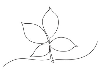 one line drawing of isolated vector object - tree leaf