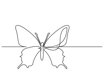 continuous line drawing of isolated vector object - butterfly