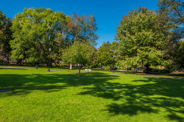 Fototapeta na wymiar Boston USA Public Garden, Common Frog Pond and city skyline.