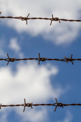 Barbed wire with blue cloudy sky background, dream of freedom, without freedom, hold captive concept