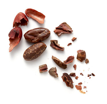 カカオ豆（バック飛ばし、影イキ）