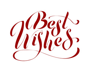 Best wishes - hand lettering inscription to winter holiday design, black and white ink calligraphy