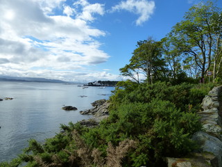 Fototapeta na wymiar Scotland - Isle of Skye 