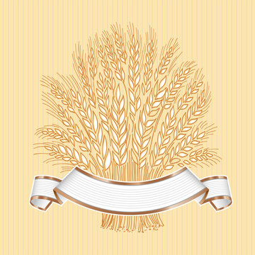 Hand drawn wheat sheaf on beige background with white elegant banner