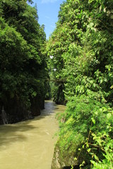 Fototapeta na wymiar Pacuare River - Costa Rica