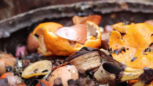 Food scraps compost heap. Organic ingredients intended for composting