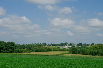Farm in the Countryside
