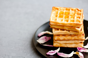 Traditional Belgian waffles with tulip petals and honey on concrete background.