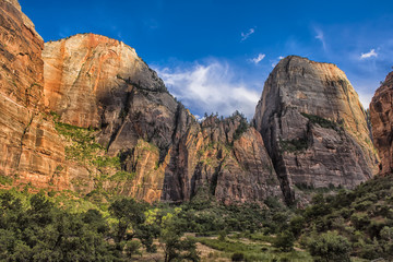 Red White Canyon Walls  Zion Canyon