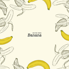 set of banana, hand draw sketch vector.