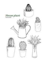 set of house plant in pot, hand draw sketch vector.