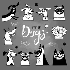 Avatar dogs. Funny lap-dog, happy pug, cheerful mongrels and other breeds.