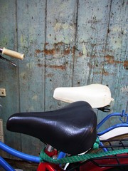 Bicicletas holandesas