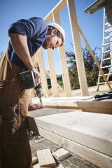 Ecological timber work