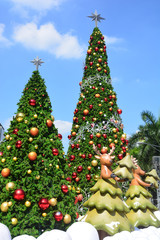 Christmas tree, note  select focus with shallow depth of field.