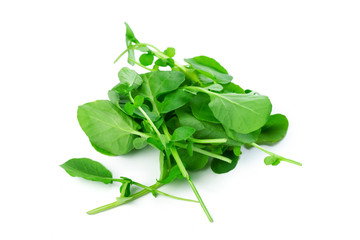 Spinach isolated on white background