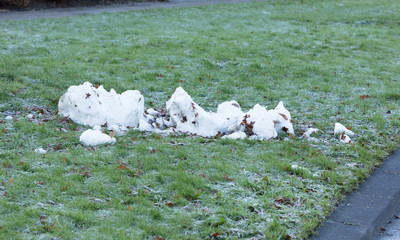Melting snowman in the Netherlands